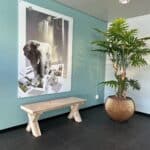 Steigerhouten bank Antigo met X poten