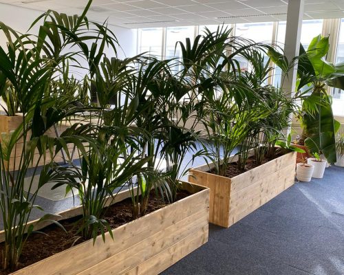 Plantenbakken van steigerhout in kantoor