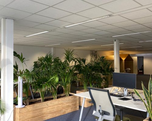 Steigerhouten plantenbakken room divider in kantoor
