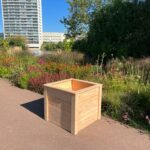 Bloembak Lana Douglashout