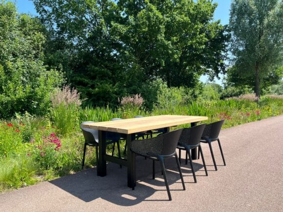 Irokohouten tuintafel Conny