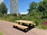Irokohouten picknicktafel Folly