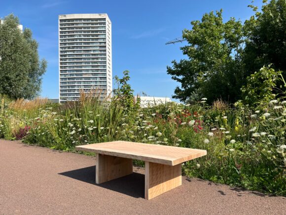 Douglashouten boomstam bankje/salontafel Unie